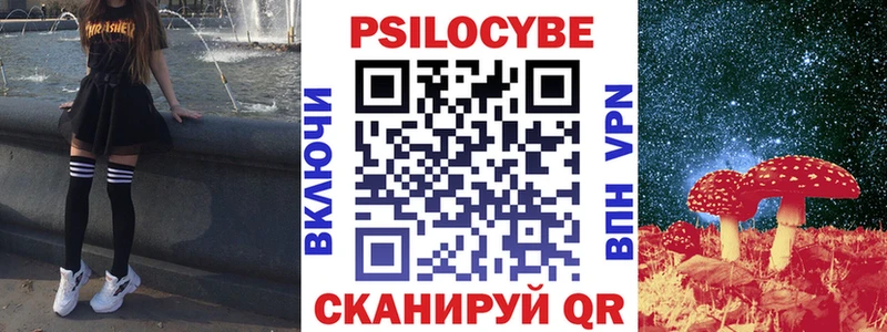 Псилоцибиновые грибы мицелий  купить наркотики цена  Дальнегорск 