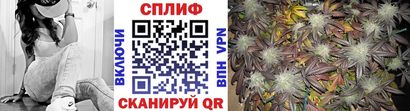 наркота  ОМГ ОМГ рабочий сайт  Бошки марихуана сатива  Дальнегорск 